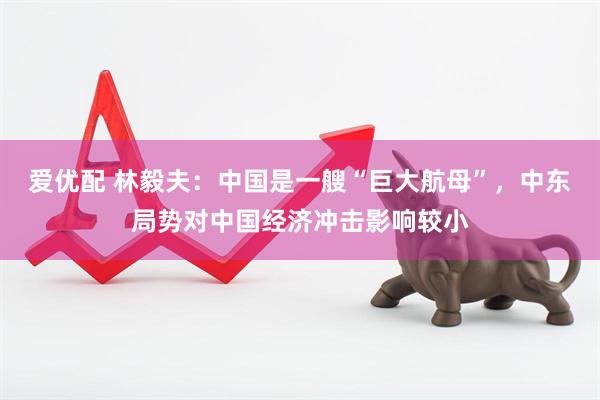 爱优配 林毅夫：中国是一艘“巨大航母”，中东局势对中国经济冲击影响较小