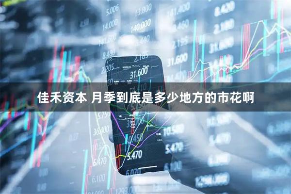 佳禾资本 月季到底是多少地方的市花啊