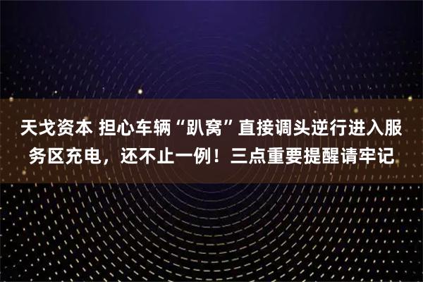 天戈资本 担心车辆“趴窝”直接调头逆行进入服务区充电，还不止一例！三点重要提醒请牢记